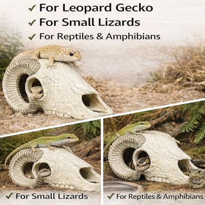 Reptile Hide Cave Decoration, Ram Skull Style Resin Shelter for Gecko, Lizard, Snake and Amphibian, Natural Habitat Decor for Small Reptiles