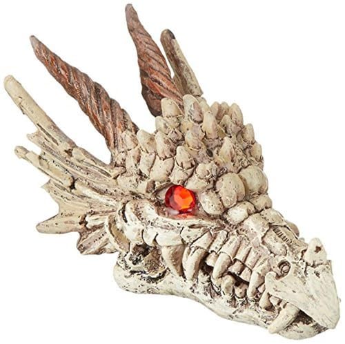 Penn-Plax Deco-Replicas Dragon Skull Gazer Aquarium Decoration – Safe for Freshwater and Saltwater Fish Tanks – Small - size: Small