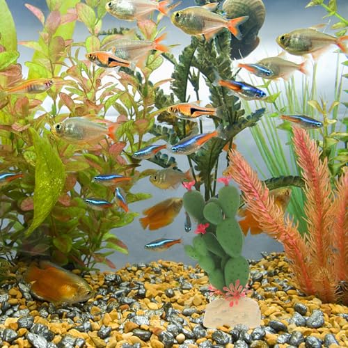 Artificial Cactus Aquarium Plant Decor, Lifelike Plastic Succulent Simulation Plant for Fish Tank Landscape, Home Ornament for Aquarium and Reptile Terrarium
