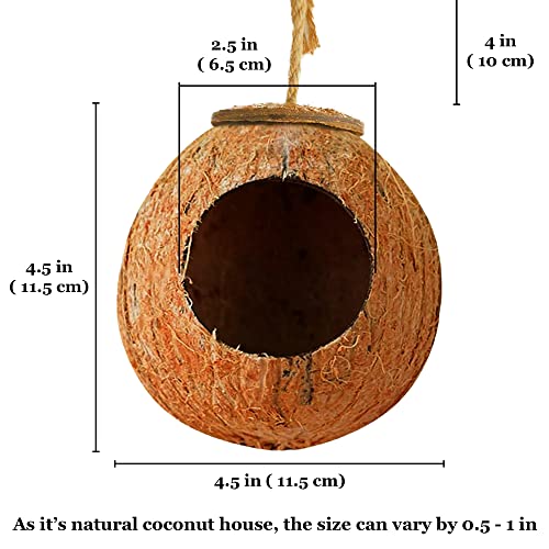 SunGrow Leopard Gecko Coco Hut, Gecko Climbing Accessories, Raw Coconut Shell Reptile Hide, Terrarium Habitat Décor, 2.5” Opening Diameter, with Fiber Loop for Hanging (1-Hole)