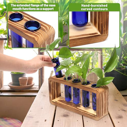 Glass Plant Propagation Station with 5 Test Tubes Colorful Planter Vase Birthday Gifts for Women in Wooden Stand - color: Blue