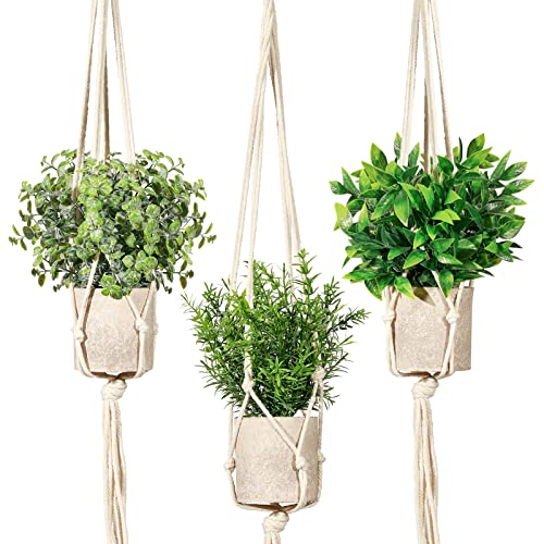 Artificial Plants 3 Pack Mini Fake Hanging with Macrame Plant Hangers Decorative Faux Greenery Decor for Shelves Wall Kitchen Farmhouse Bathroom Home Office - color: Eucalyptusgreen