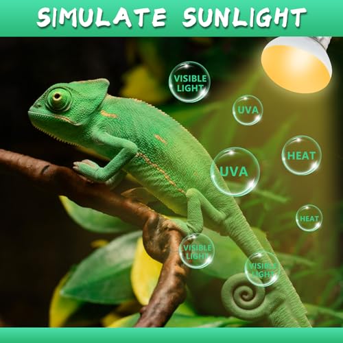 LUCKY HERP Heat Lamp Bulbs, 40W Reptile Heat Lamp 2 Pack Reptile Heat Lamp Bulbs, Daylight Basking Spot Heat Light Bulb, Amphibians Lamp Bulbs for Chameleons, Snakes, Lizard, Turtle - color: 40-d