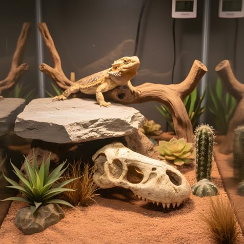CTWPets T-Rex Skull Fossil Head Tank Ornament – Large Dinosaur Bone Decoration for Fish Tanks, Lizard Terrariums, Gecko or Reptile Enclosures – 5.7" Resin Jurassic Statue for Aquascape & Pet Habitat