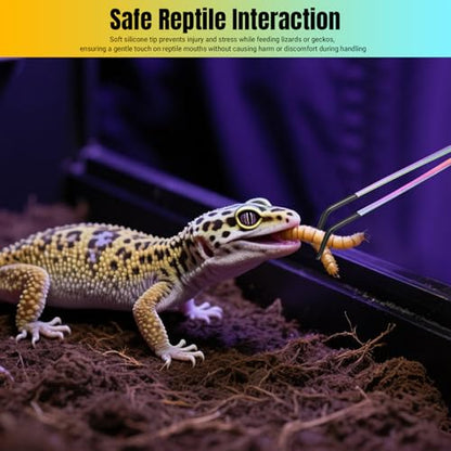 Reptile Feeding Tongs - Stainless Steel Clamp | Long Tongs With Rubber Tip for Bearded Dragons, Lizards, Amphibians, Reptiles, Aquarium, Terrarium, Tank, Supplies - color: B