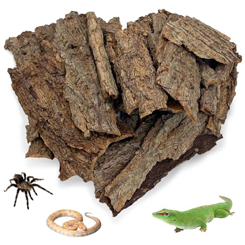 Reptile Cork Bark Bulk 1 Lb Reptile Bark Bedding Natural Flat Cork Wood Pieces Terrarium Substrate Tank Supplies for Bearded Dragon Snake Spiders Hermit Crabs Geckos Tortoise