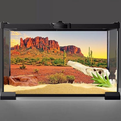 AWERT 36x20 inches Reptile Habitat Background Sky Oasis Mountain Cactus Sun and Desert Terrarium Background Durable Polyester Background - size: 36x20in/90x50cm