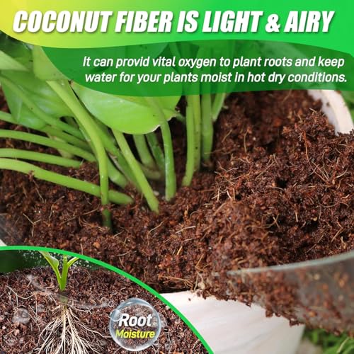 Coco Coir Brick for Plants-12 Pack Premium Coconut Bricks, 100% Organic Peat Moss, Fiber Coconut Husk for Planting, Gardening, Potting Soil Substrate - size: 12pcs