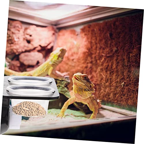 Yardwe 1set Reptile Feeding Platform Double Cups Practical Ledge for Reptile Feeding Easy to Clean Bowl for Lizards Geckos and Other