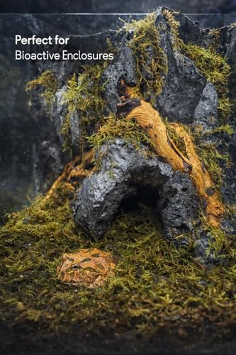 Sphagnum Moss Substrate for Reptiles & Terrariums (1)