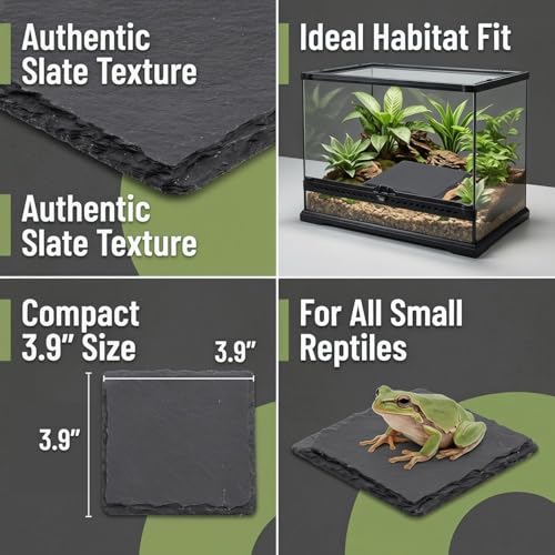 Turtle Basking Platform Slate Reptile Basking Slate Platform for Turtles 3.9 x 3.9 Inch Natural Stone Tortoise Bearded Dragon Lizard Chameleon Gecko Terrarium Accessory