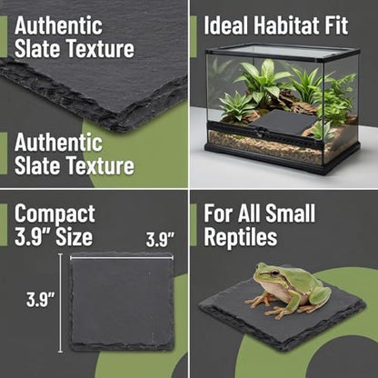 Turtle Basking Platform Slate Reptile Basking Slate Platform for Turtles 3.9 x 3.9 Inch Natural Stone Tortoise Bearded Dragon Lizard Chameleon Gecko Terrarium Accessory
