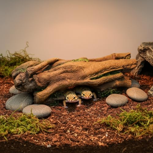 JIHAQUA Aquarium Resin Bark Terrarium Decor, Lizard, Snake or Reptile Hide,Lizard, Spider and Aquarium Fish Hide Cave (Large Bark B)