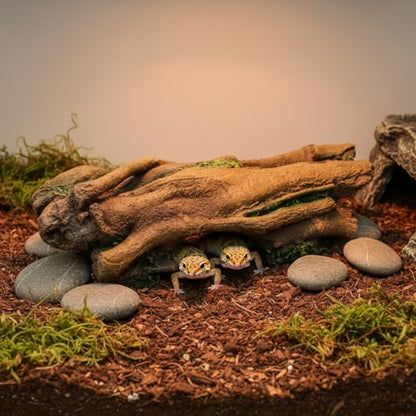 JIHAQUA Aquarium Resin Bark Terrarium Decor, Lizard, Snake or Reptile Hide,Lizard, Spider and Aquarium Fish Hide Cave (Large Bark B)