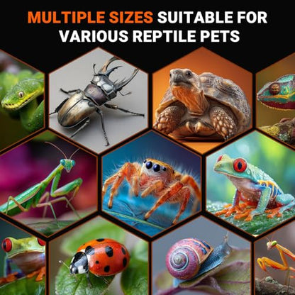 Jumping Spider Enclosure, Acrylic Terrarium with with Magnetic Doors, 0.8mm Micro-Ventilation, Stackable Escape-Proof Habitat for Jumping Spiders, Tarantulas & Small Reptiles, 3”x3”x6” - size: 1Pack, 3”x3”x6”
