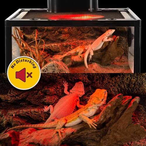 REPTI ZOO 25W Reptile Infrared Heat Lamp 2 Pack,Amphibian Heat Emitter Infrared Basking Spot Light Bulb for Small Geckos,Turtle,Bearded Dragon,Lizard,Tarantulas