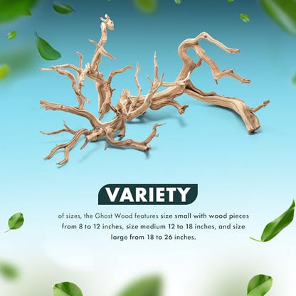 SubstrateSource Natural Aquarium Driftwood for Fish Tanks, Terrarium, Reptile Habitats, Freshwater Aquatic Decor - Small to Large Pieces (Ghost Wood (Small) 8-12", 3 Pieces) - size: 3 Pieces