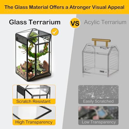 Glass Jumping Spider Enclosure Kit,Escape Proof Gothic Spider Tank | Fence Kits Terrarium Desktop Display Habitat for Jumping Spiders,Arboreal Tarantulas,Critter Keeper(No Plants)