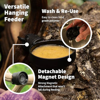 Pangea Microdish Kit for Crested Gecko Food, Small Dish for Anoles and Other Reptiles, Zip Tie Attachment Water Bowl 2.75in x 2.6in (L Branch Mount) - size: L Branch Mount