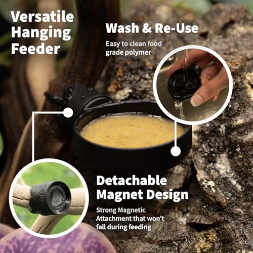 Pangea Microdish Kit for Crested Gecko Food, Small Dish for Anoles and Other Reptiles, Zip Tie Attachment Water Bowl 2.75in x 2.6in (L Branch Mount) - size: L Branch Mount