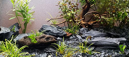 Natural Slate Stone 3 to 5 Inches - USA Sourced and Packaged for Aquascaping Aquariums, Terrariums, Paludariums, Reptiles, Wargaming, Model Railroads, Miniature Gardens, Mosaic Art (12lbs) - size: 12 Pounds