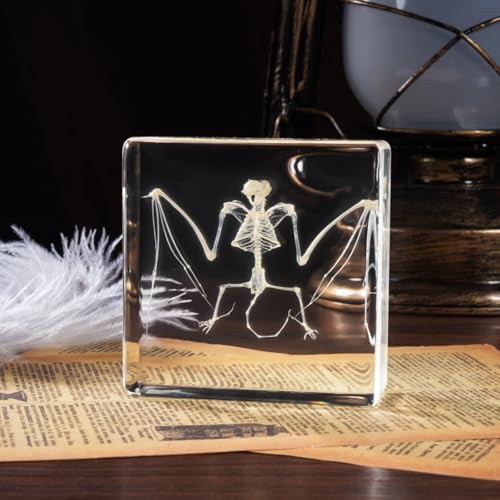 Taxidermy Bat and Real Bat Specimens Mounted in Resin, Ideal Gift for Fans of Taxidermy, Animal Skulls, Oddities, and Biology (Bat Skeleton) - color: Bat Skeleton