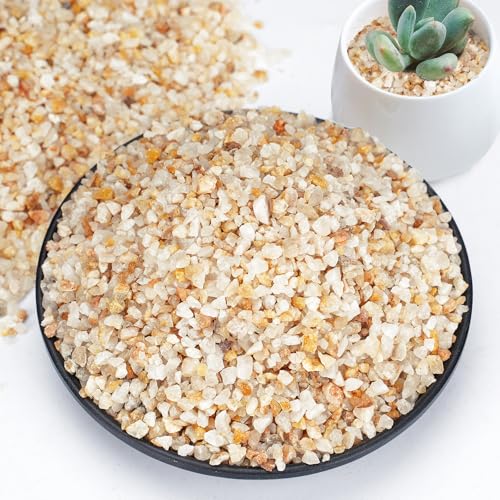 1-2mm Coarse Sand for Plants, 6lb Horticultural Sand for Succulents, Desert Silica Sand for Cactus, Vases, Aquariums, Terrarium, Fish Tank, Drainage Rocks for Potted Plants, Bamboo, Crafts