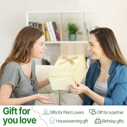 Plant Propagation Stations Heart Plant Terrarium Kit Gift for Women Plant Lover Glass Vases - color: Color01
