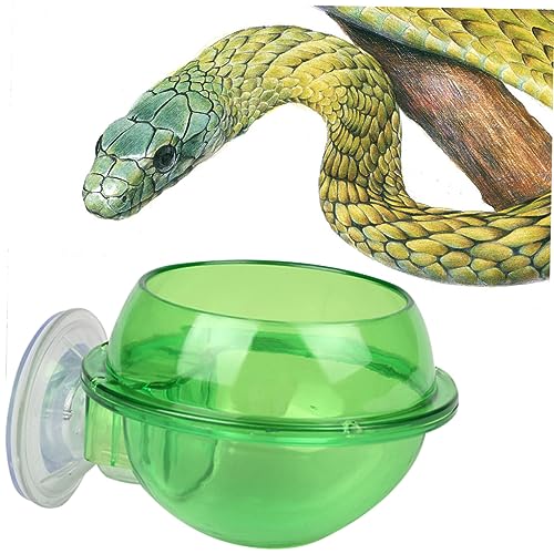 Toddmomy Reptile Feeder Bowl Suction Cup Lizard Water Dish for Chameleon Turtle Small Pet Drinking Bowl