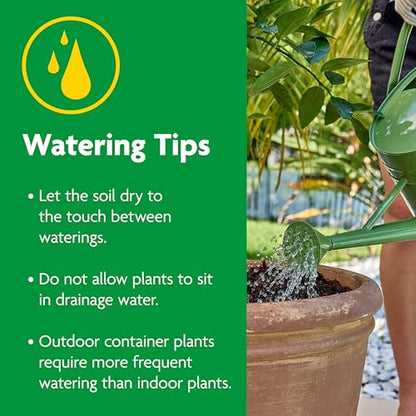 Miracle-Gro Cactus, Palm and Citrus Potting Mix, For Indoor or Outdoor Container Plants, Great for Succulents, 8 qt., 3-Pack - style: Potting Mix 3 Pack