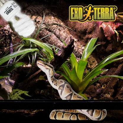 Exo Terra Repti Glo 5.0 Tropical Terrarium Lamp, Compact Fluorescent Reptile Bulb, 13 Watts, PT2186A1, whites & tans