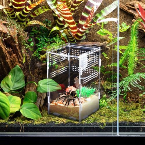 Healeved Feeder Box and Secure Lock Acrylic Reptile with Modular Design Multifunctional Reptile Breeding Enclosure with Ventilation Holes and Feeding for Safe Pet Habitat