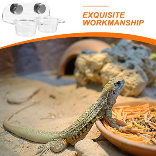 POPETPOP Gecko Feeding Ledge: Reptile Food Bowl, Lizard Water Bowl, Magnetic, Portable, Modern Style, Transparent, Plastic, 12.00X6.50X5.50CM