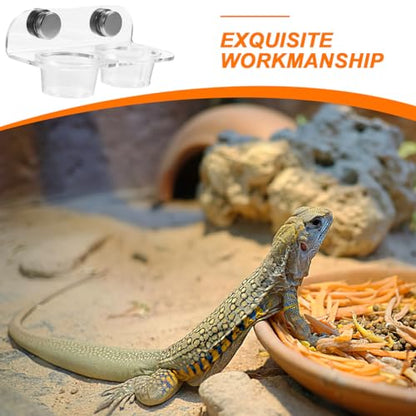 POPETPOP Gecko Feeding Ledge: Reptile Food Bowl, Lizard Water Bowl, Magnetic, Portable, Modern Style, Transparent, Plastic, 12.00X6.50X5.50CM
