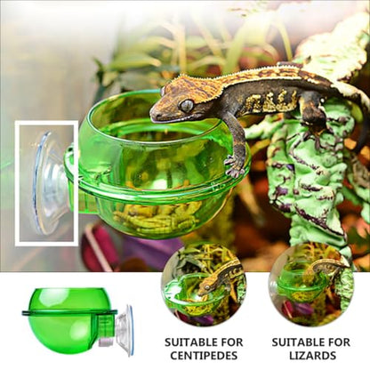 HEMOTON 4pcs Reptile Feeding Bowl Set with Suction Cup, Terrarium Food and Water Dish for Tree Climbing Lizards, Chameleons, and Geckos
