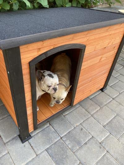 Petmate Petmate Precision Pet Weather-Resistant Log Cabin Dog House with Adjustable Feet, Natural Wood, Medium - color: Walnut/Dark Brown, size: Medium, style: Outdoor Log Cabin