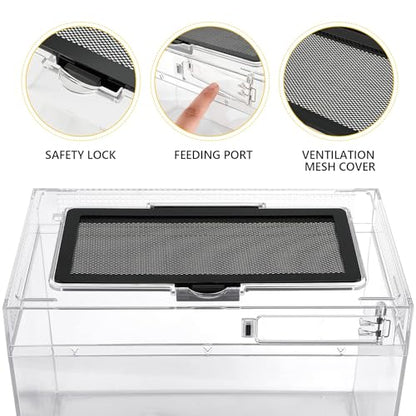 Reptile PC Terrarium Amphibian Tank Spider Enclosure Snake Cage 7x11.8x5.9inch Suitable for breeding Leopard Gecko,Frog,Hermit Crab,Lizards,Isopod,Tarantula,Turtles,Chameleons,Jumping Spiders - size: Large