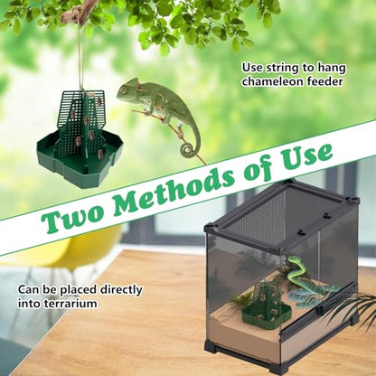2PCS Reptile Hunting Bowl,5.8"×5.8"×6.1" H Insect Feeding Box with Rope and Tweezers Chameleon Feeder Bowls Hanging Bearded Dragon Bug Bowls Mounted Insect Reptile Feeder Box (Green,Large) - color: Green, size: Large:5.8"L×5.8"W×6.1"H
