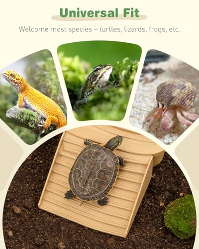 Pawfly Reptile Bathing Pool with Removable Ramp, Reptile Food Dish Feeding Dish, Tortoise Water Dish Water Bowl with Steps, Turtle Bathing Pool Bath Tub Soaking Dish for Gecko Snake Lizard Frog