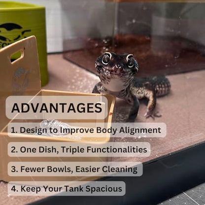 Geckopia Triple Dish 3.0 | 3 in 1 Reptile Bowl | Gecko & Reptile Calcium & Water Food Bowl | Mealworm Dish in BioPlastic | Wood - color: Wood
