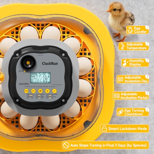 Chicken & Quail Egg Incubator, 12 Egg Incubators for Hatching Eggs, Two Egg Trays, Automatic Egg Turning with Auto Stop, Incubation Day & Period, Auto Refill, Egg Candler, Air Vent, 360° Clear View - size: 12 Eggs + 30 Quail Eggs