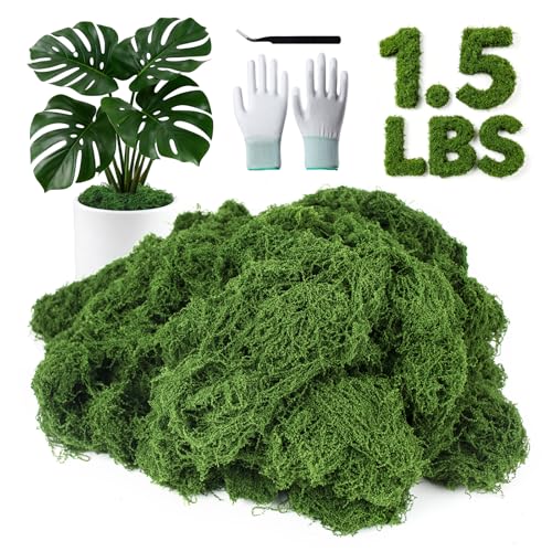 MGLIFEUL 1.5 LBS Artificial Fake Moss for Crafts Plants Indoor with Non-Stick Gloves and Tweezers，Preserved Green Plant Faux Craft Moss Musgo for Fairy Garden Outdoor Home Decorating Model Making - color: Dark Green, size: 1.5 LBS