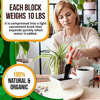 Coco Coir Brick 10 LB - Premium Compressed Coconut Fiber Block for Indoor Plants, Seed Starting & Hydroponics - Low Salt Triple Washed - Expands to 75 Quarts - 100% Natural Peat Alternative