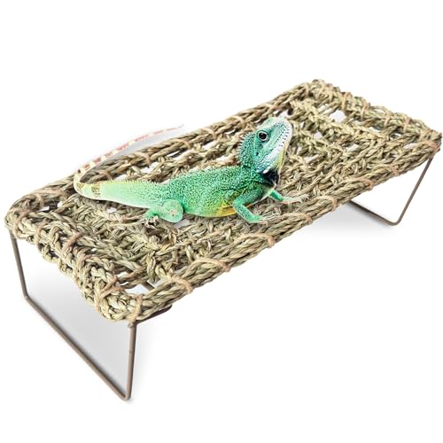 Bearded Dragon Hammock, 15.75''x7.28'' Large Reptile Tank Accessories with Collapsible Sturdy Metal Legs, Basking Platform Bed Habitat for Lizard Leopard Gecko Snake Turtle Hermit Crab and Frog