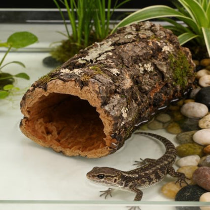 VOSAREA Tree Trunk Reptile Hide Log, Hollow Tree Trunk Ornament, Climbing Platform Shelter for Terrarium Tank, Reptile Cave Hideout for Gecko, Lizard, Snake 7-8cm Diameter