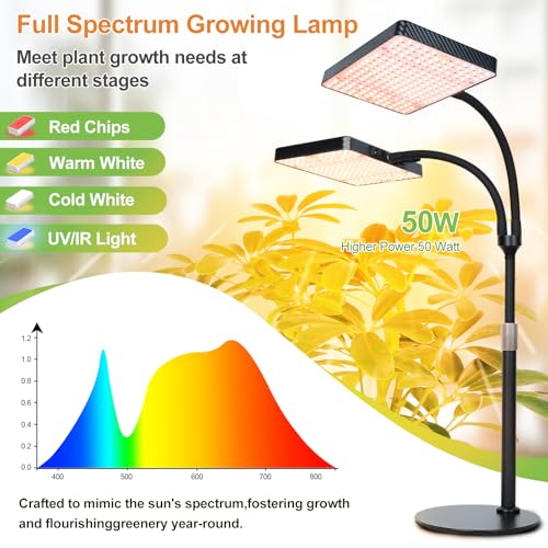 FECiDA 2026 2Head Tabletop Grow Lights for Seed Starting, Indoor Plants, Bonsai, 50 Watt Power Draw, NO Need Adapter, Super Bright and Big Coverage, 4/8/12/16/20 Hr Timer, 16"-24" Height Adjustable - size: TableTop-2Head-50W-Timer