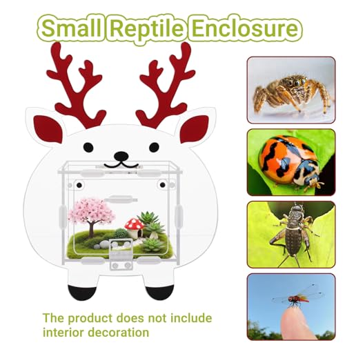 Acrylic Jumping Spider Enclosure with Magnetic Door - 4.7"x4.7"x3.5" Escape-Proof Habitat, Front Opening Terrarium for Tarantula, Reptiles & Insects