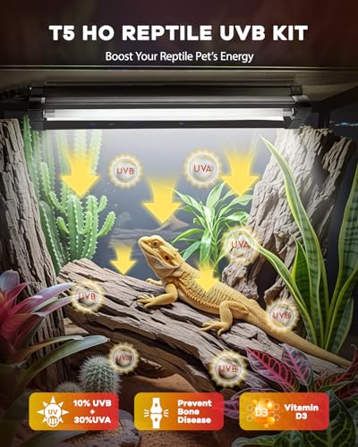UVB Light for Reptile 8W, T5 UVB Reptile Light Fixture HO Combo Kit with Test Sensor Cards, 12" High Output Reptiles Light Bar UVA UVB Desert Lamp for Turtle Lizard Bearded Dragon Tank - color: Black