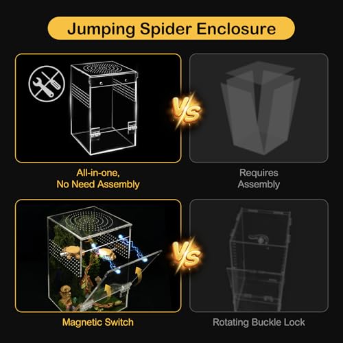 Jumping Spider Enclosure Starter Kit,Escape Proof Forest Terrarium | Praying Mantis Terrariums,Transparent Acrylic Complete Bug Habitat,All In One Arboreal Tarantula Cribs Cage,Insect Container - size: Large