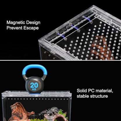 Reptile PC Terrarium 10.2" x 5.9" x 5.7" Full View Reptile Aquarium Tank Starter Kit for Insect Plant Gecko Spider Habitat Amphibians Enclosure with Hide Cave Feeding Bowl - size: M-Starter Kit